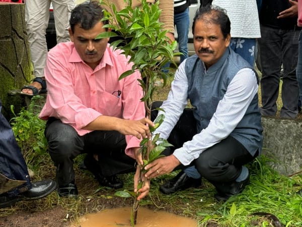 Tree Plantation NSS 2024